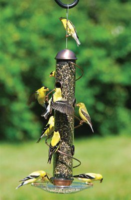 Songbird Essentials Copper Spiral Sunflower Feeder 17 Inches