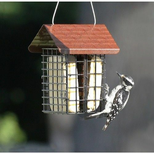 Double Suet Bird Feeder with Metal Roof, Two Suet Capacity