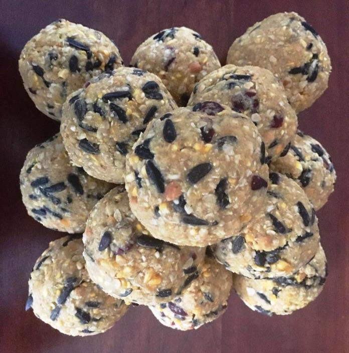 Wild Bird Suet Balls - Cranberry Sunflower - Qty. of 10 - FREE SHIPPING
