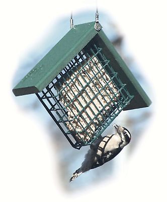 Woodlink Going Cage Suet Bird Feeder