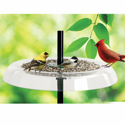 Droll Yankees Giant Seed Tray Bird Feeder and Squirrel Guard