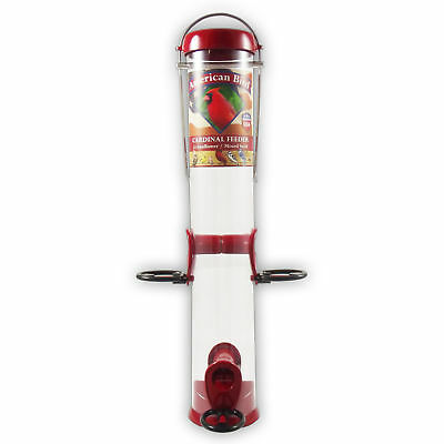 Droll Yankees American 4 Port Cardinal Tube Bird Feeder