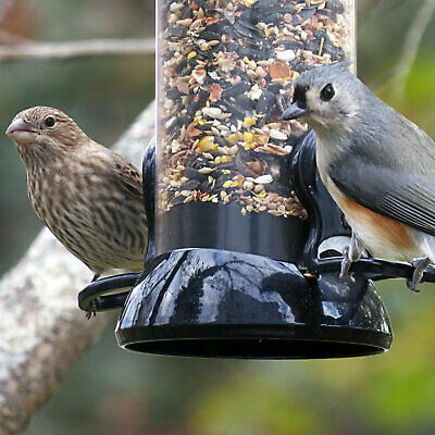 Droll Yankees, Inc Clever Clean 2 Port Sunflower Tube Bird Feeder