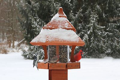 Songbird Essentials Century Bird Hopper Bird Feeder