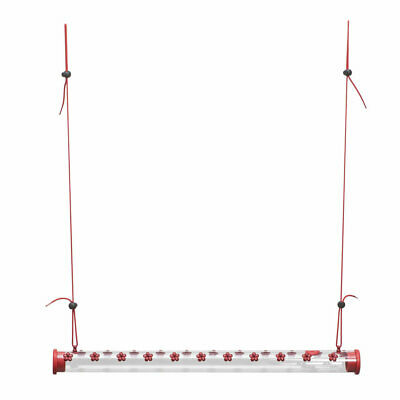 Woodstream Perky Pet Hummerbar Tube Bird Feeder