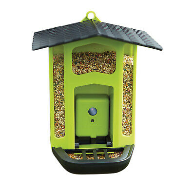 Hanging Bird Feeder - Record Feeding Birds - 1.5MP Motion Activated Camera