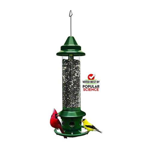 Squirrel Buster PLUS bird feeder with hanger and Cardinal Ring, holds 5.1 pounds