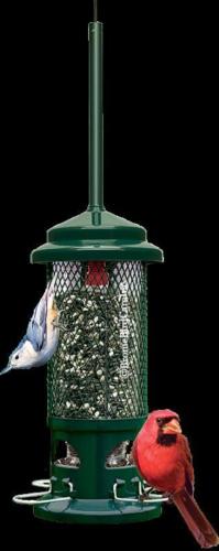 Squirrel Buster Standard bird feeder with hanger and 4 perches holds 1.3 pounds
