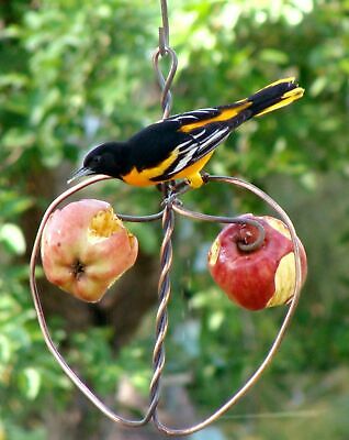 Songbird Essentials Johnny Apple Decorative Bird Feeder
