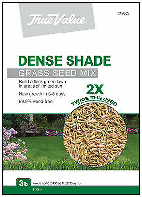 BARENBRUG USA TV 3LB Shade Grass Seed TVSHD3