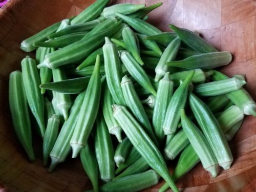 Homegrown Okra vegetable seed, Fast grow, Non-GMO, 75 pcs