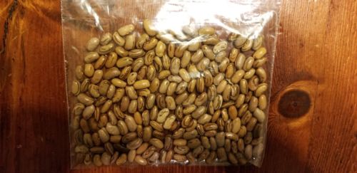 Heirloom Striped Cornfield Bean Seeds