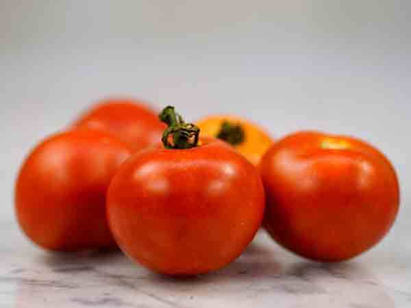 Organic Thessaloniki Tomato, 25 seeds