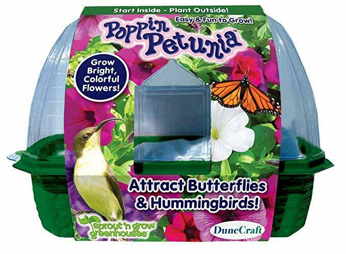 DuneCraft Sprout 'n Grow Greenhouses Poppin Petunia Plant