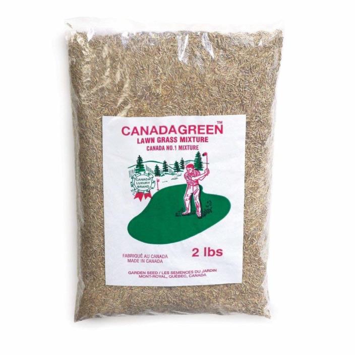 CANADA GREEN GRASS SEED BAG Heavy Foot Traffic Lawn Seeds Gardening Planting NEW