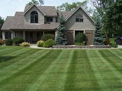 25 Lbs BOREAL CREEPING RED FESCUE GRASS SEED Shade Tolerant Fine Textured Grass