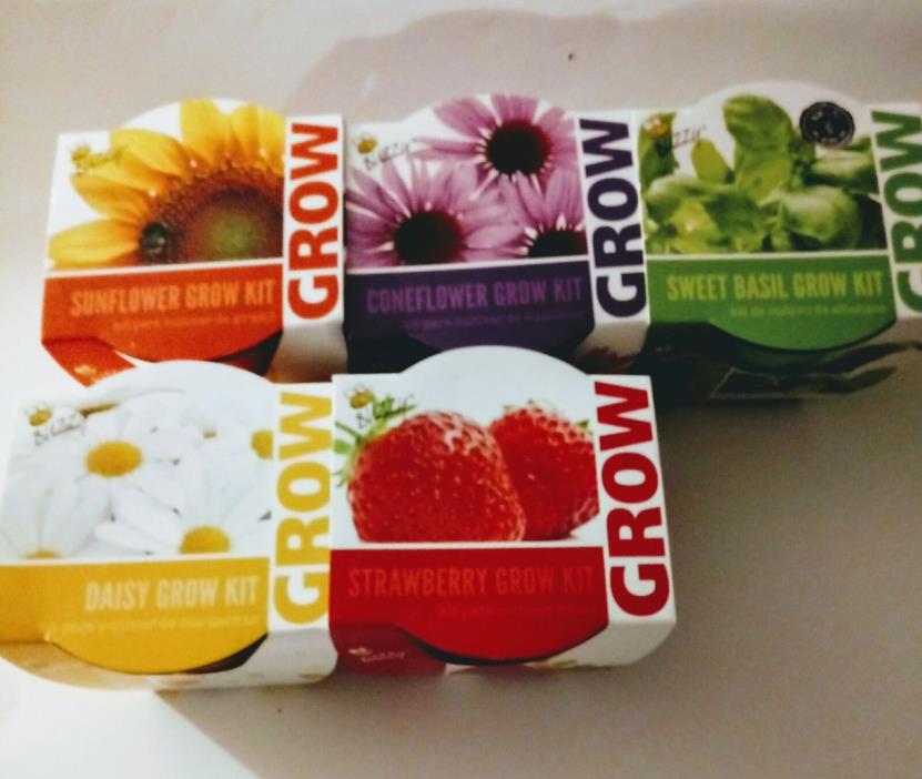 Buzzy Grow Kits - STRAWBERRY/ CONEFLOWER/BASIL/SUNFLOWER/DAISY Lot of 5