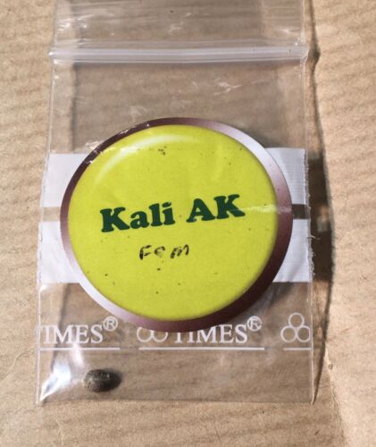 1X Original Sensible Kali AK Feminized Hemp Seed Rare Medical Hybrid 20% 60/40
