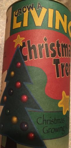 LIVING CHRISTMAS TREE GROWING KIT- GROW XMAS BALSAM FIR FROM SEEDS