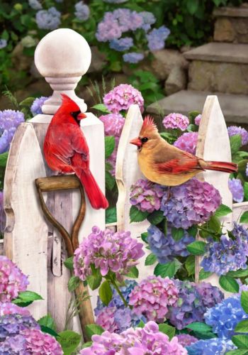 Cardinals & Hydrangeas Pink & Blue Fence Spring Summer Sm Garden Flag