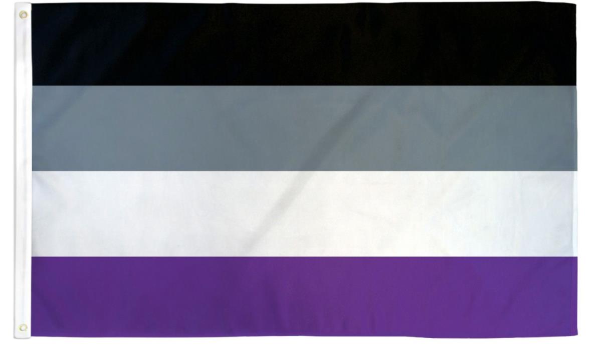 Asexual Pride Flag 3' x 5' LGBTQ Pride Flag Single Sided Wall Decoration Ace