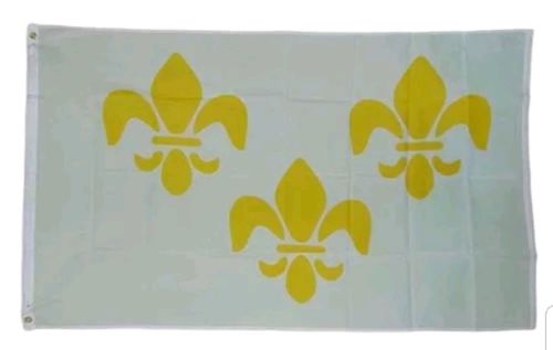 3x5 White Flag 3 Gold Fleur De Lis for Pole Metal Gormets Durable Exterior-Inter