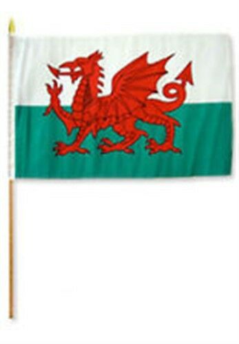 Welsh (Wales) Flag - 12