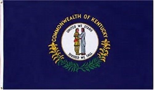 Commonwealth of Virginia State Flag - 12