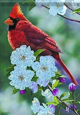 Carson Home Accents Trends Glitter Garden Flag, Springtime Cardinal