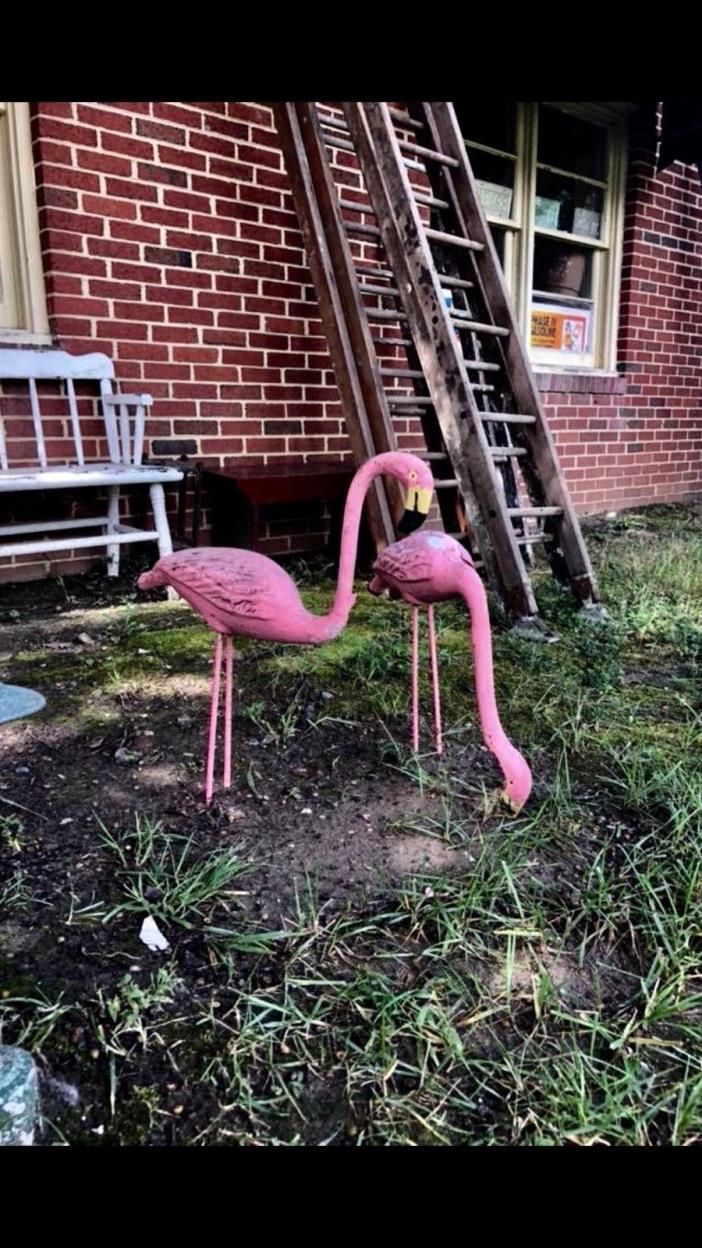 Vintage Pair of Pink  Flamingos Mid-Century Lawn Art Decor Yard Statues.