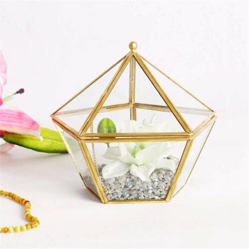 Creative Nordic Geometric Transparent Glass Flower Room Glass Ring Box Polygon