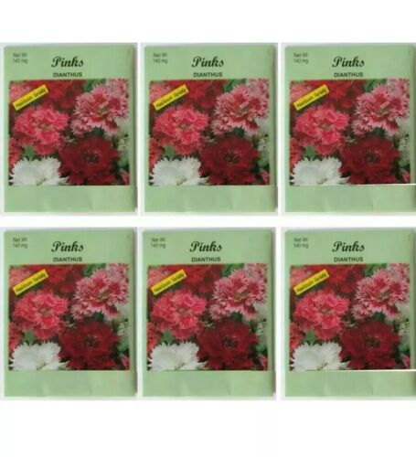 Valley Greene (6 Pack) Heirloom Variety Pinks Dianthus Seeds 140 mg/package Non
