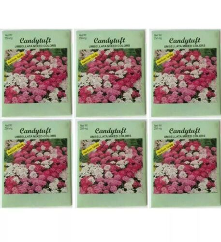 6 Packs Valley GreeneHeirloom Variety Umbellata Mixed Colors Candytuft 250mg/bag
