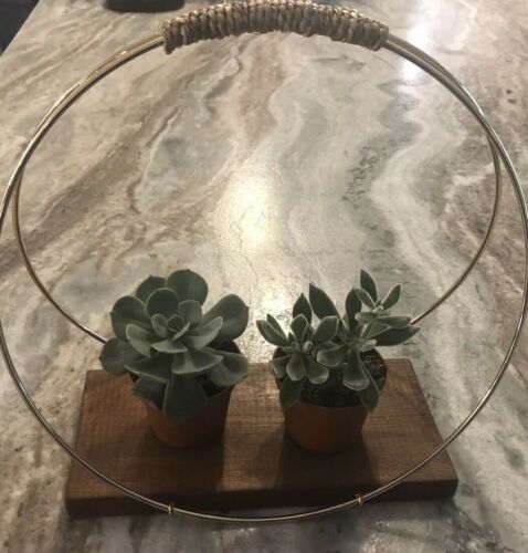Artistic Plant Display Stand