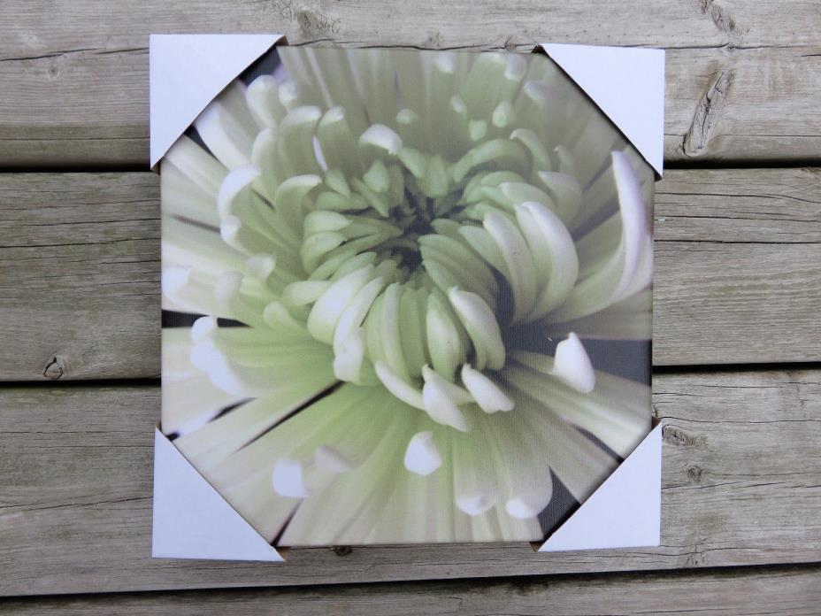 OUTDOOR CANVAS WALL PLAQUE GARDEN DECOR 12in.x12 in yard decor White Flower