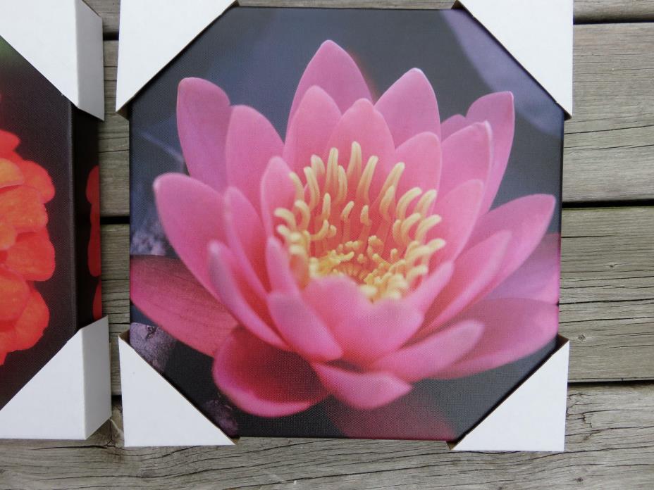 OUTDOOR CANVAS WALL PLAQUE GARDEN DECOR 12in.x12 in yard decor Pink Flower