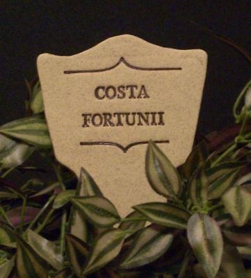 ' COSTA FORTUNII ' Comical Weatherproof Garden Decor Sign Stoneware