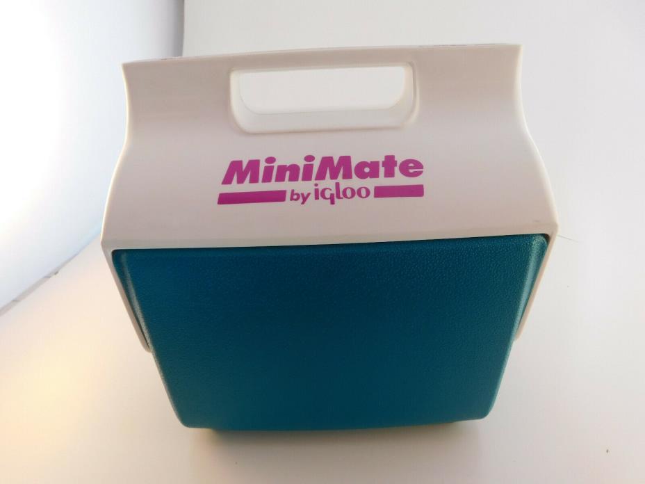 Vintage 1993 Igloo MiniMate Lunchbox Beer Can Insulated Cooler GREEN PURPLE