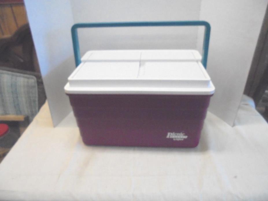 plastic cooler ice chest picnic basket by igloo