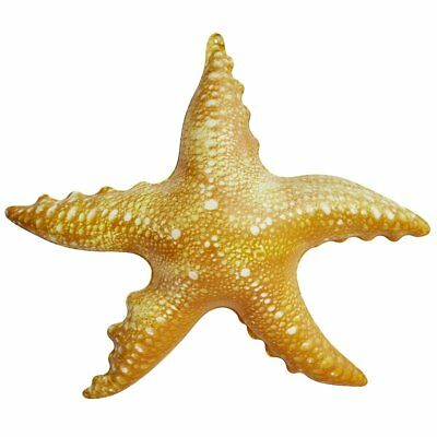 Starfish Inflatable, 20 inch Tall [AN-STAR]