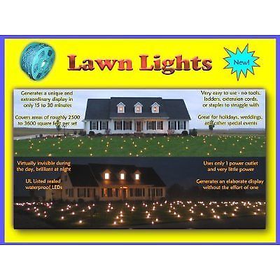 LED Outdoor Lawn Lights Illuminated