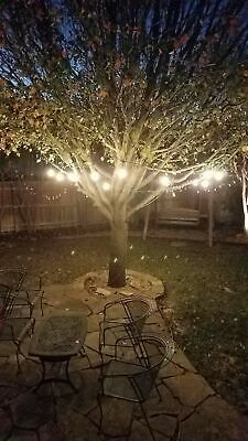 Cooolight 12 Volt String Lights with Hanging Sockets-Commercial Gra... BRAND NEW