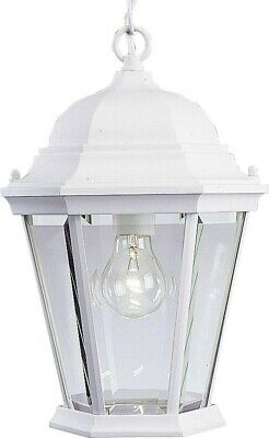 Outdoor Hanging Lantern 1-Light Weather Resistant Clear Beveled Glass Panels