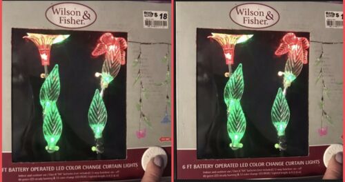 2 Wilson & Fisher 6ft. Each Set Color Change LED StrIng Light Inside/Outside