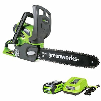 12-Inch Chainsaws 40V Cordless Chainsaw, 2.0 AH Battery Included 20262 Power