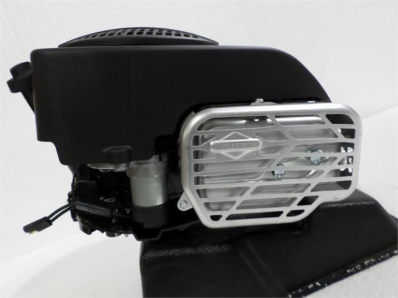 Briggs & Stratton 10HP 14D937-0101-G1 Professional Series 223cc Vertical Engine