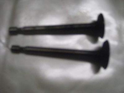 Briggs and Stratton Engine 12S912-0121-B1 Set of 2 Exhaust Valves Part 499642