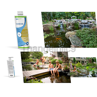 Aquascape 96024 Algaecide Treatment for Koi Fish Ponds and Water Gardens, 32-...