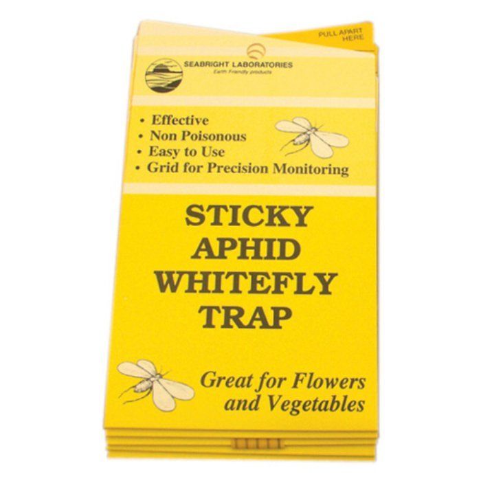 Seabright Laboratories Whitefly Traps 5 Pack