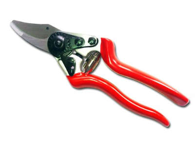 Zenport QZ406 Small Professional Pruner.8-Inch Cut, 7.25-Inch Long